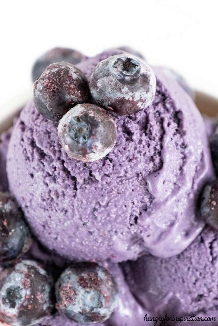 Sugar Free Keto Blueberry Ice Cream